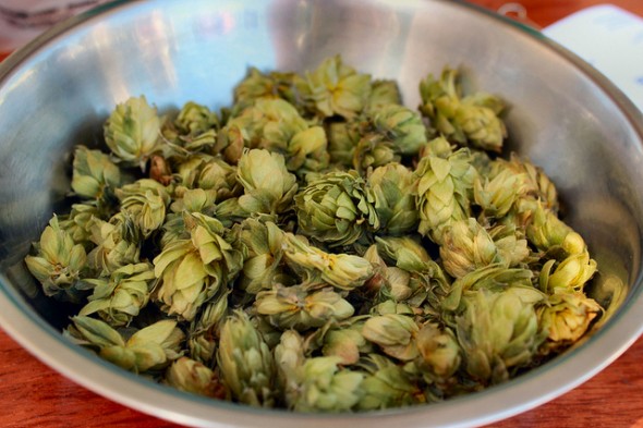 The Economics of Craft Beer