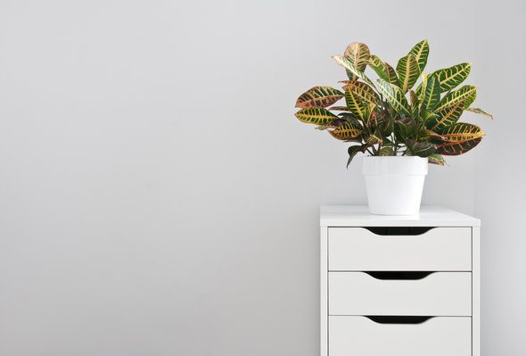 Smart Guy Buyer’s Guide to the Home Office