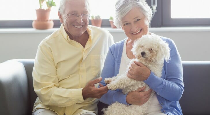 Do You Really Need Pet Insurance?