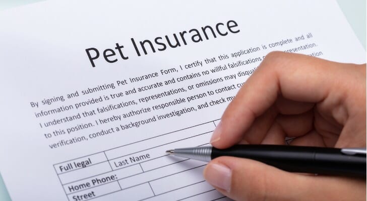 Do You Really Need Pet Insurance?