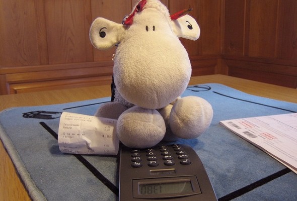 Tax Filing: DIY or Hire a Professional?