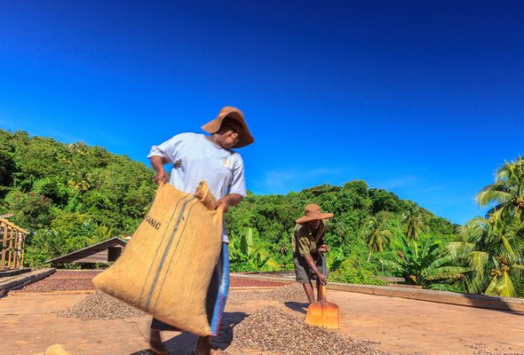 Top 3 Ways the Chocolate Industry is Changing