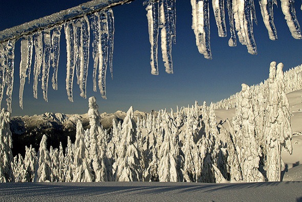 Will a Credit Freeze Prevent Identity Theft?