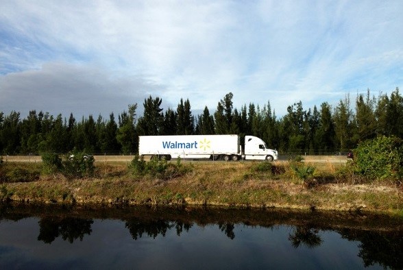 What are Blue-Chip Stocks?