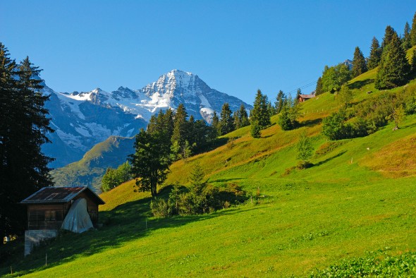 What Is a Tax Shelter?