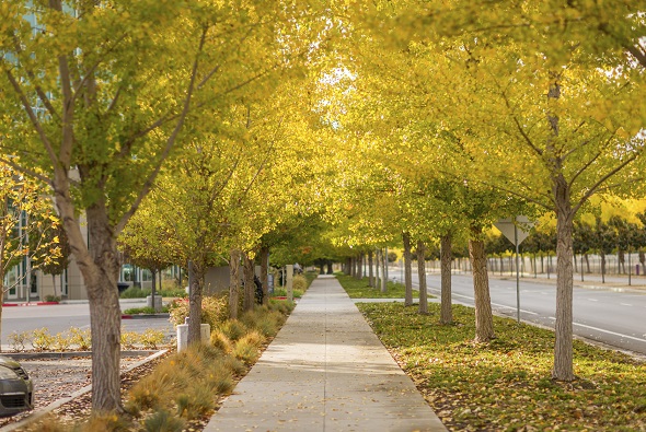 The Safest City in America