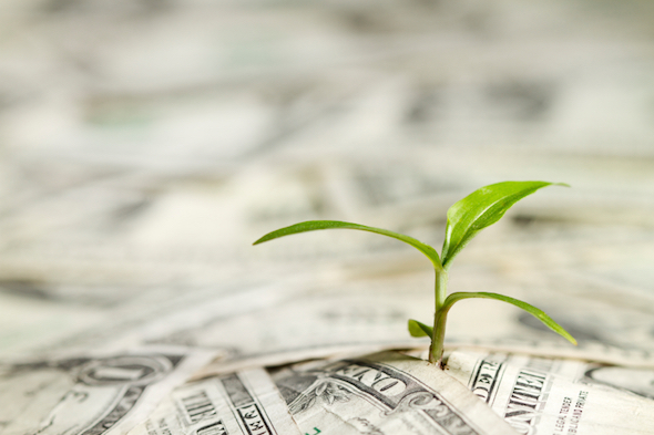 A seedling growing up through a pile of money.