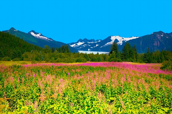 Cost of Living in Alaska