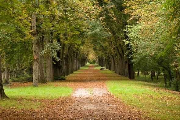 How to Use ETFs for Tax Loss Harvesting