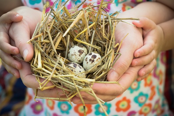 While building a nest egg is important, it's just as important to protect it. That's where an estate plan comes in.