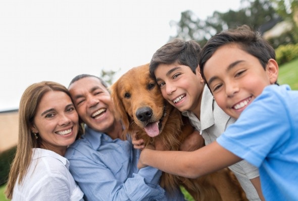 The Economics of the Pet Industry