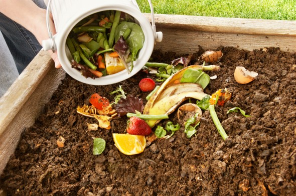 The Economics of Composting