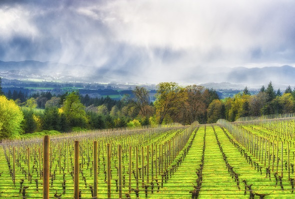 America's Best Wine Destinations of 2016