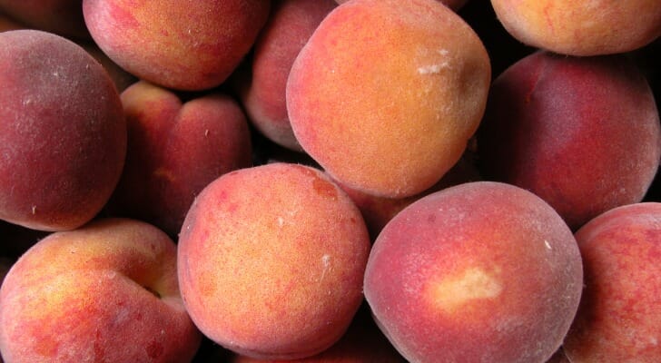 cost of living in georgia