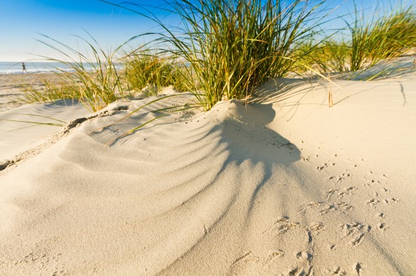 SmartAsset: What Is the Cost of Living in South Carolina?