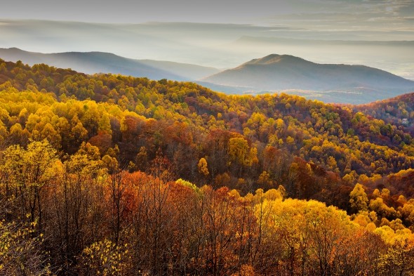 Cost of Living in Virginia