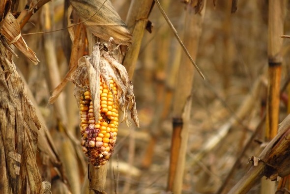 All About Stagflation