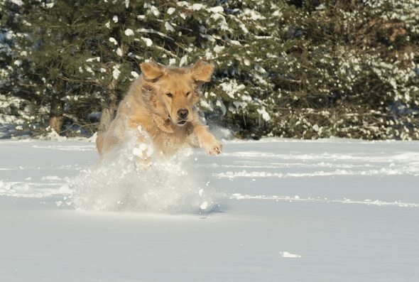 The Best States for the Middle Class