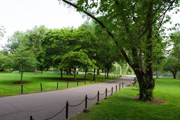 15 Things to Know Before Moving to Boston