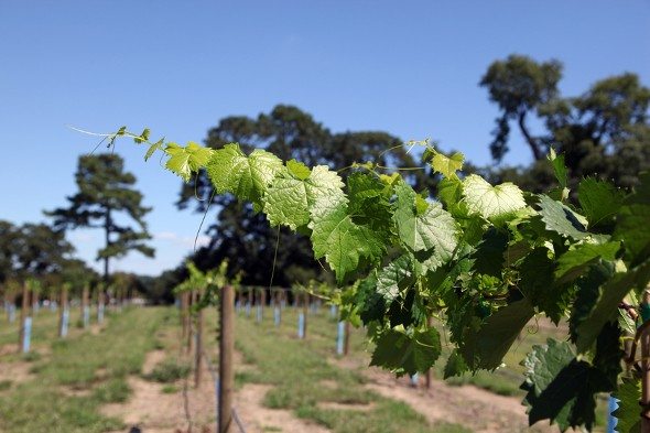 SmartAsset: 15 Things to Know Before Moving to Washington, D.C.