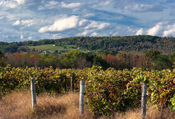 15 Things to Know Before Moving to New York State