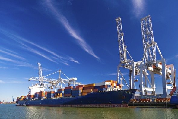 What Does the World Trade Organization Do?