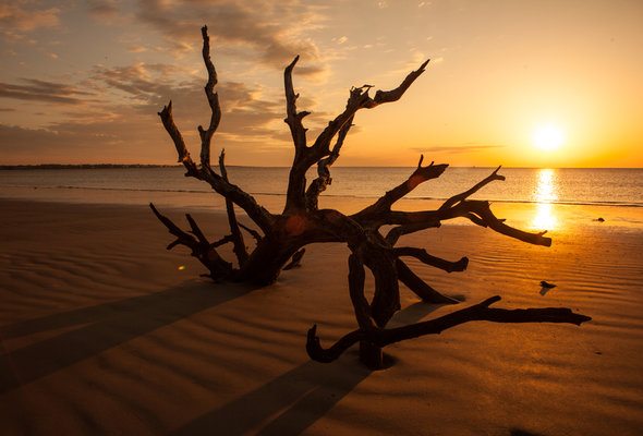 15 Things to Know Before Moving to Georgia