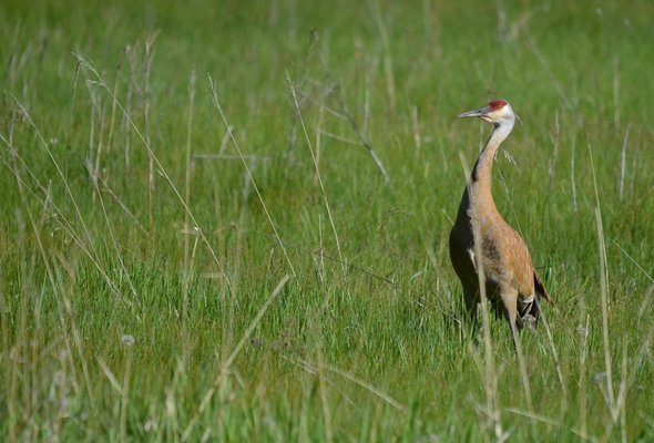 15 Things to Know Before Moving to Montana