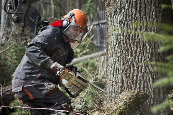 The Most Dangerous Jobs in the U.S.