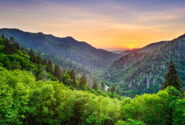 15 Things to Know Before Moving to Tennessee