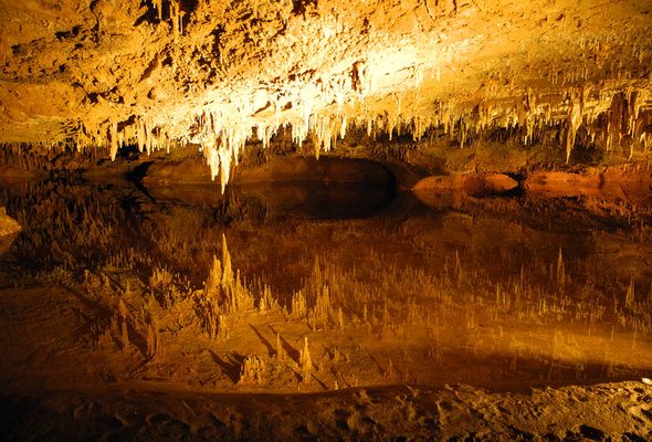 15 Things to Know Before Moving to Tennessee