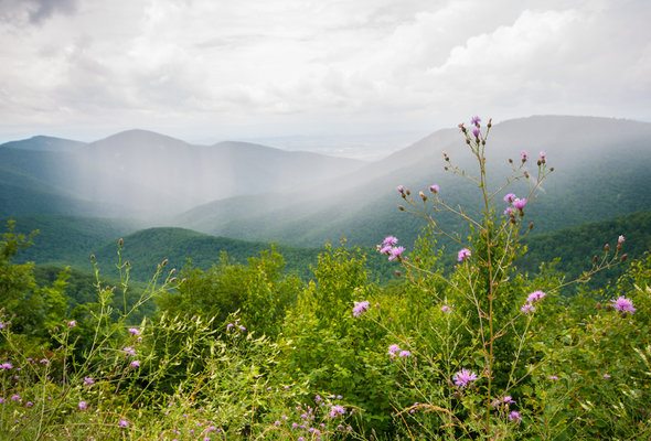 15 Things to Know Before Moving to Virginia