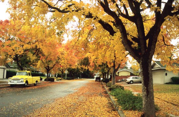 The Most Livable Mid-Sized Cities