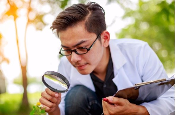 The Best Places for Green Jobs