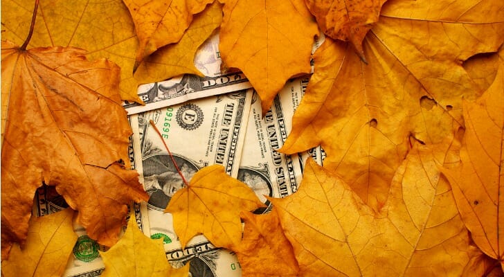 Dollar bills showing through a pile of leaves.