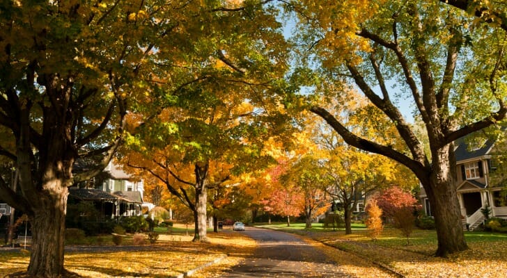 raise a family in the northeast