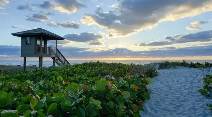 wealthy buying homes