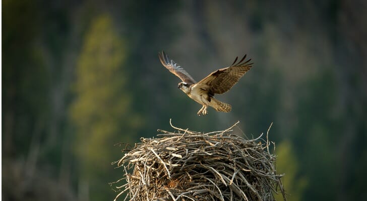 retirement income planning