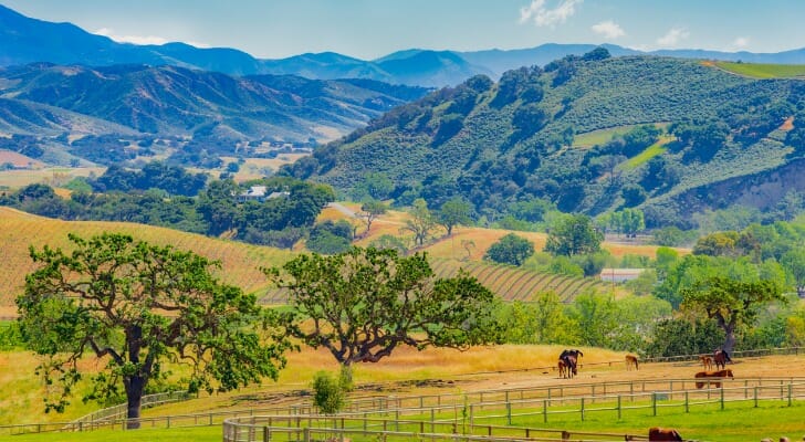 wealthy buying homes