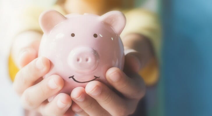 Two hands holding a piggy bank, representing savings.
