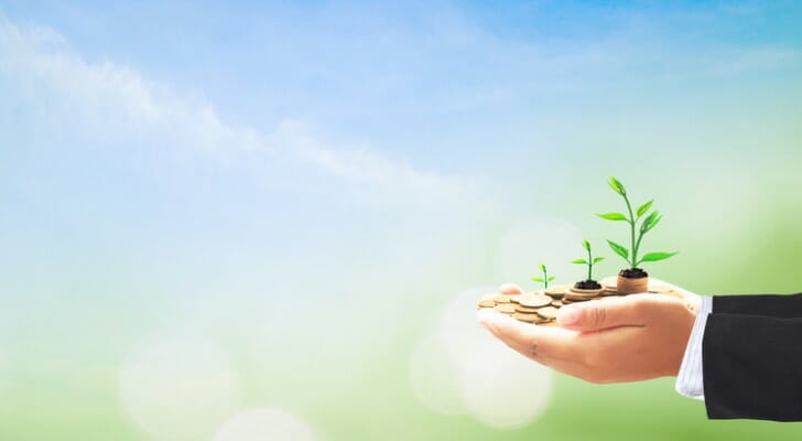 Closeup of two hands holding small growing plants from smallest to biggest to represent different types of annuities.