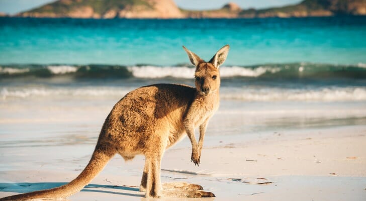 If you’re ready to retire in Australia, there are some steps you should take before you pack your bags.