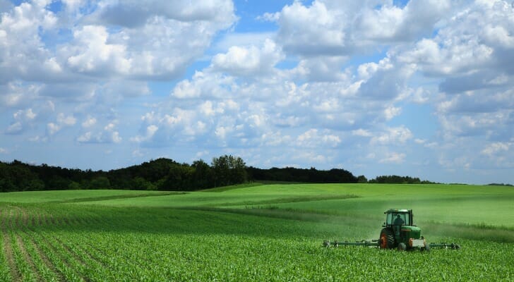 Farmer riding a tractor in a corn field