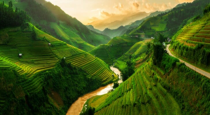 Terraced rice field near Sapa in Vietnam.