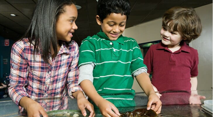 Three children in Connecticut