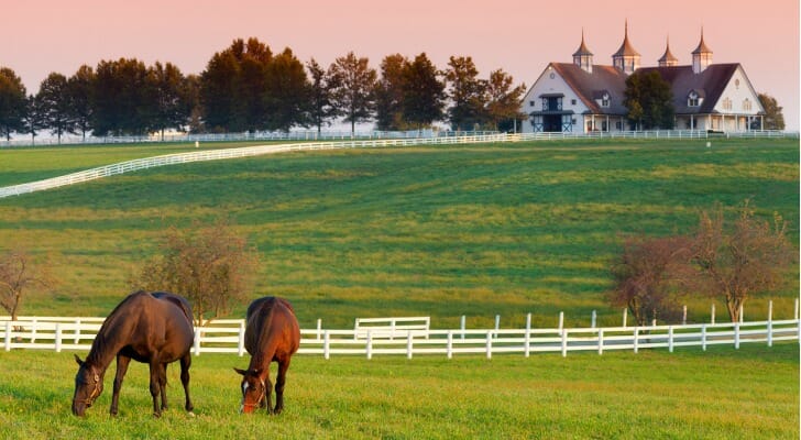 Horses graze on a piece of property that has been put into a land trust.