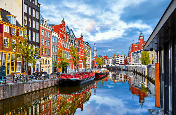 Brightly painted houses on a tree-lined canal in the Netherlands.