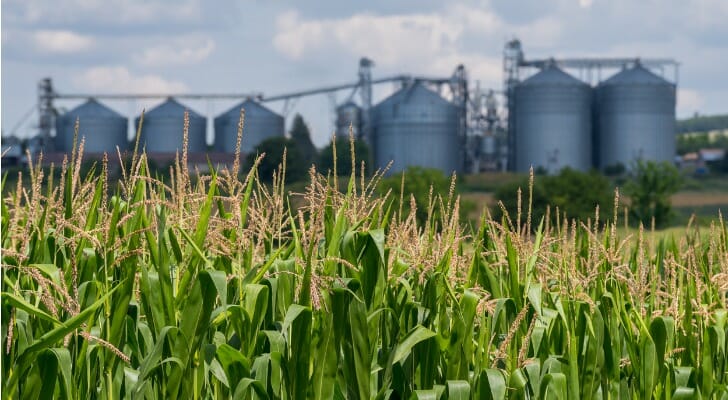 Corn field with silos