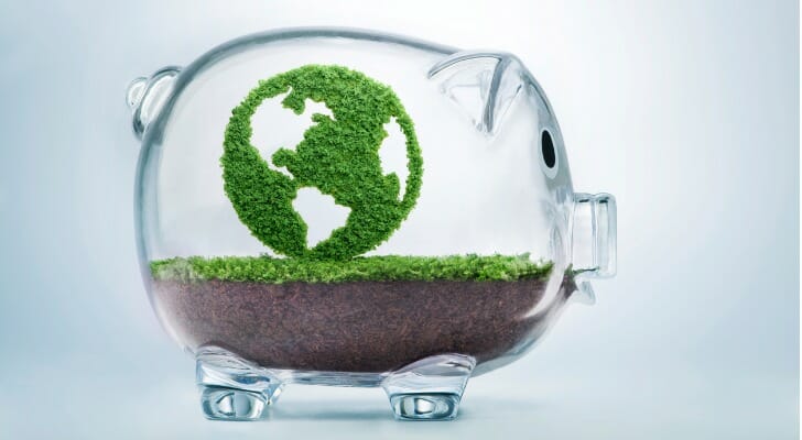 Glass piggy bank with greenery inside.