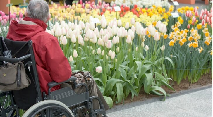A senior on SSDI admiring a garden from a wheelchair.
